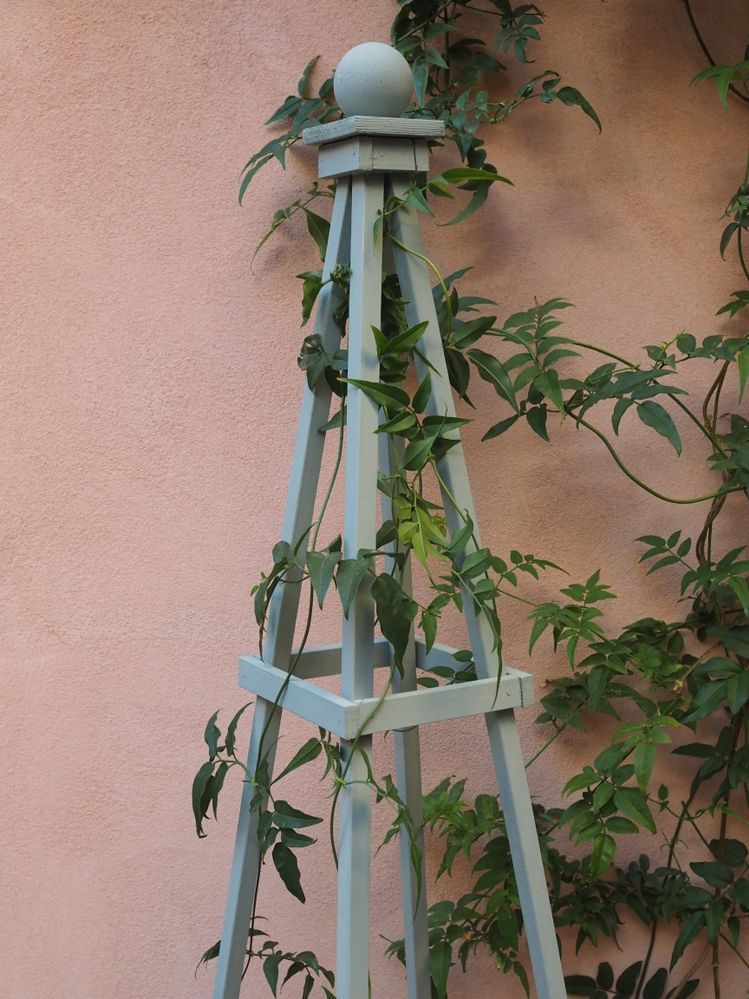 Come realizzare un supporto a obelisco per piante rampicanti