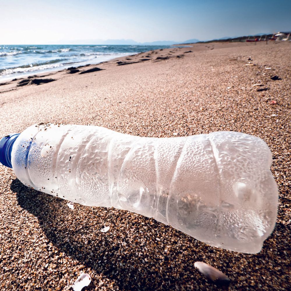 Liberare l'ambiente dall’inquinamento delle bottiglie di plastica – Leroy Merlin