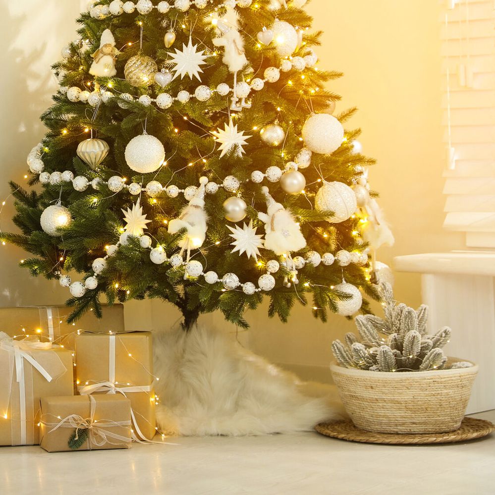 Idee per trasformare le piante di casa in bellissime decorazioni natalizie – Leroy Merlin