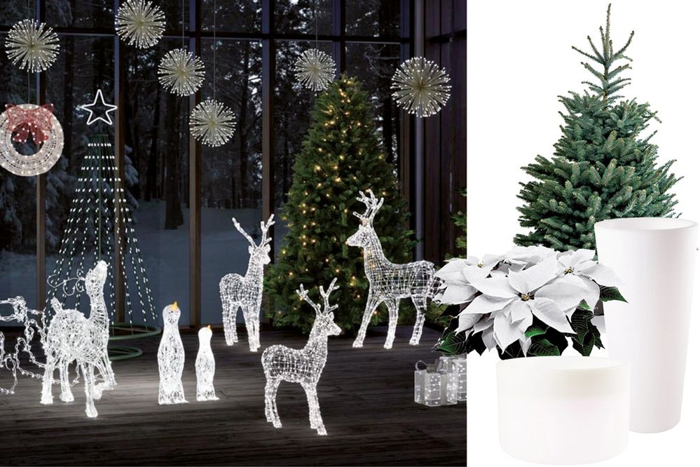 Idee per allietare l’atmosfera natalizia con i vasi luminosi - Leroy Merlin