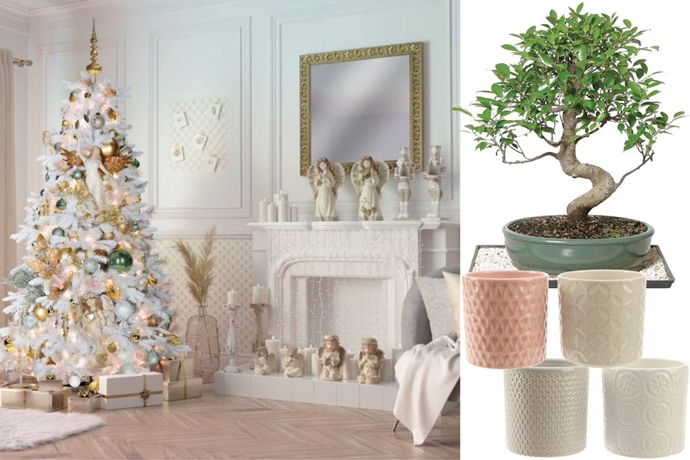 Idee per associare eleganti piante da appartamento alle decorazioni natalizie in stile glam – Leroy Merlin
